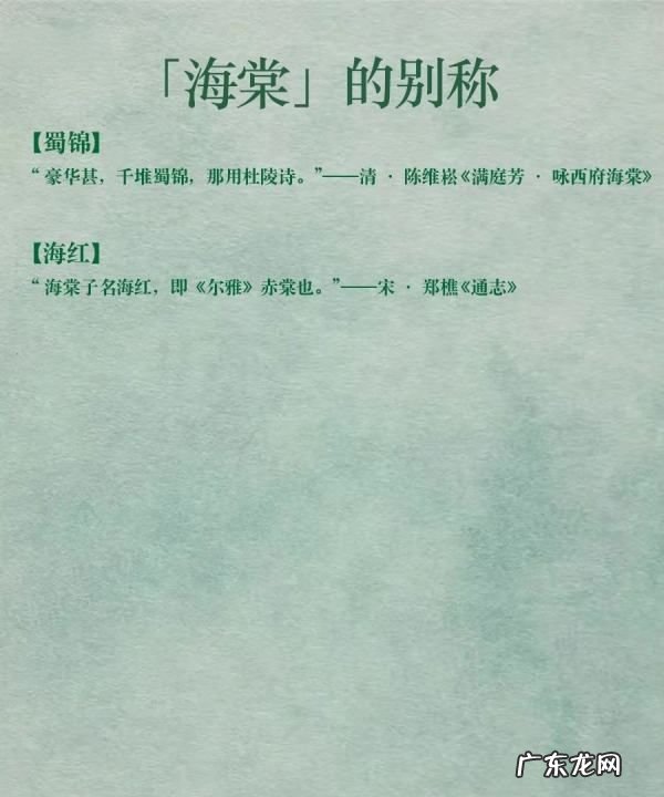 海棠花的美称是什么,海棠花的花语是什么