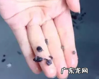 清洗洗衣机的方法妙招,洗衣机清洗泡腾片的使用方法