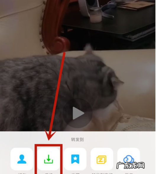 如何电影到手机,怎样电影到手机相册