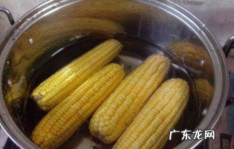 冷水下锅的玉米煮多久,冷水下锅的玉米煮多久大火小火