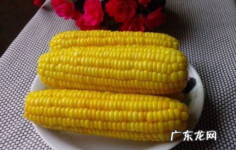 冷水下锅的玉米煮多久,冷水下锅的玉米煮多久大火小火
