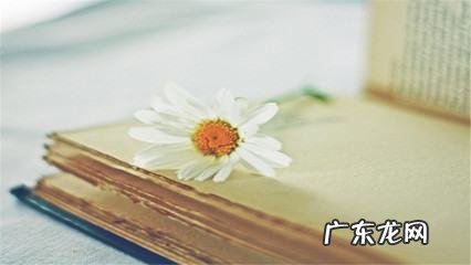 陈规陋俗的意思,慷慨陈词陈玉国职业生涯规划与发展