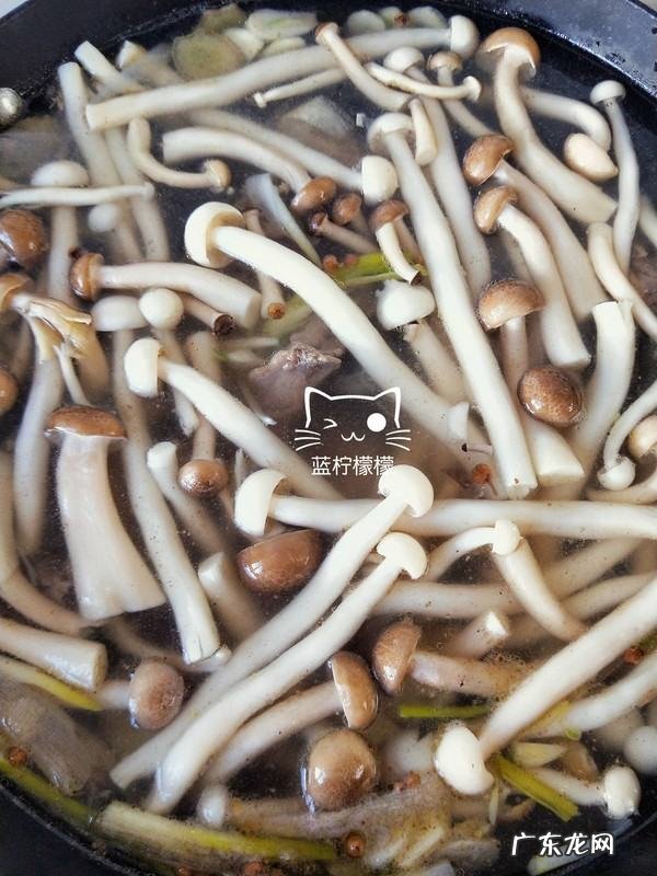清炖鸡怎么做,清炖鸡怎么炖好吃又简单家常的