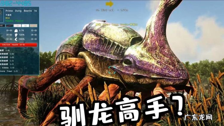 方舟驯龙上限怎么突破,方舟生存进化国际服手机版