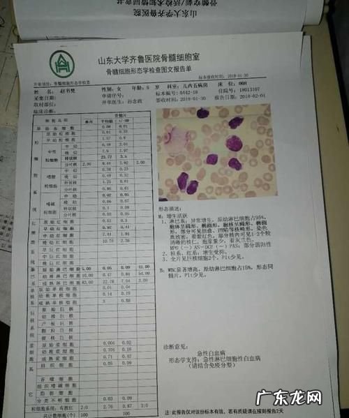 白血病痊愈后可以买保险,我女儿现在查出白血病了怎么办