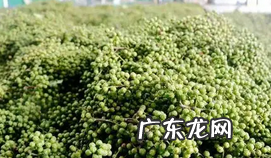 椒子的功效与作用,指天椒的功效与作用