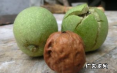 核桃青皮弄到手上怎么清洗,青皮核桃汁弄到手上怎么清理