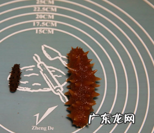 干海参怎么做,干海参的做法发泡方法