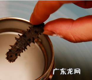 干海参怎么做,干海参的做法发泡方法