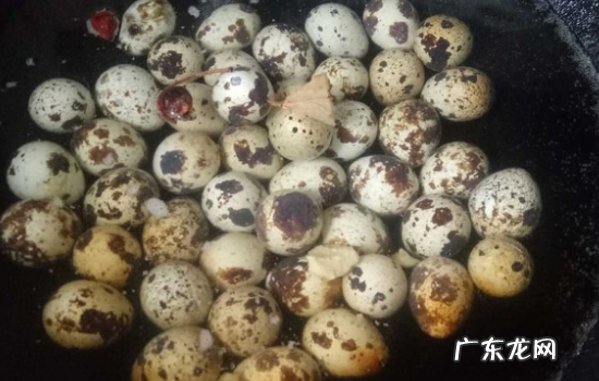煮鹌鹑蛋多长时间,煮鹌鹑蛋需要几分钟