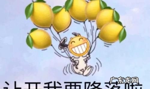 柠檬树是什么梗 啥意思,柠檬树上柠檬果柠檬树下你和我