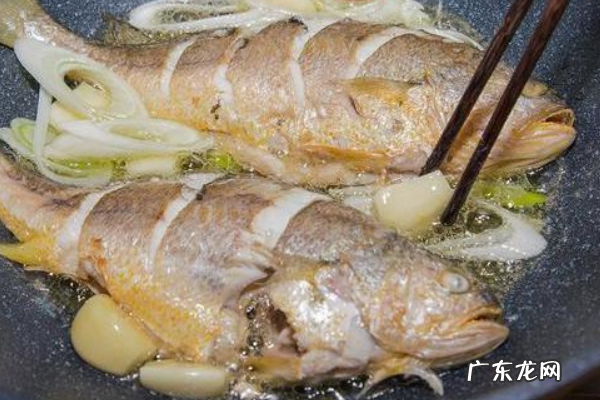 大黄鱼怎么做,红烧大黄鱼的做法和步骤