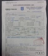 交强险凭证是什么,交通事故强制险保单是什么样的