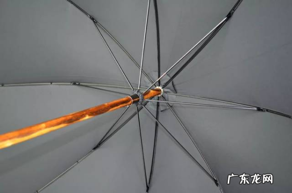 伞骨越多越结实,伞骨越多越结实