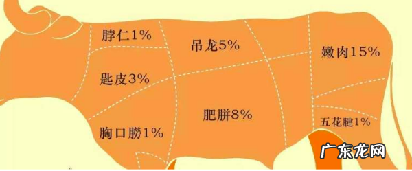 牛胸口是哪个部位,牛后胸肉是牛身上哪个部位