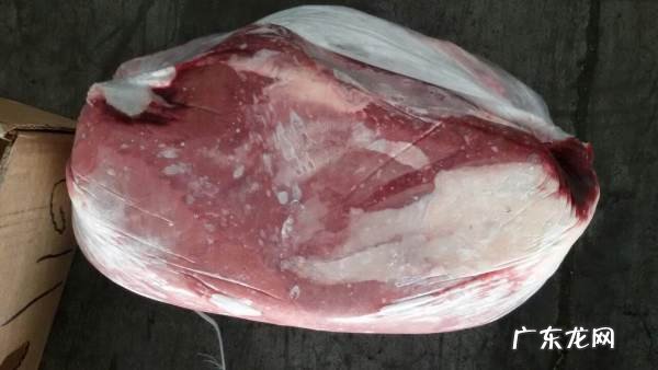 牛胸口是哪个部位,牛后胸肉是牛身上哪个部位