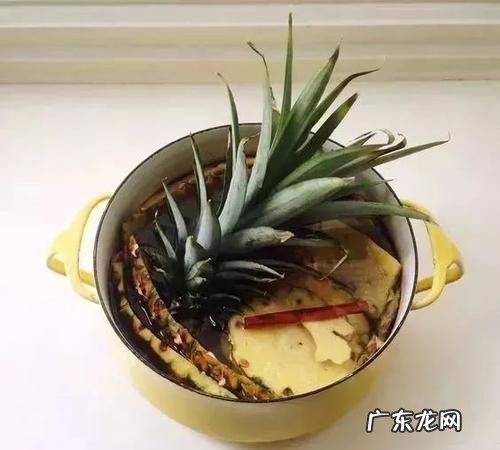 菠萝皮可以浇花吗?,菠萝皮发酵能浇花