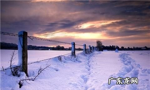 关于雪的暖心的句子,特别暖心祝福句子