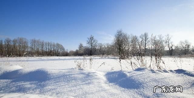 关于雪的暖心的句子,特别暖心祝福句子