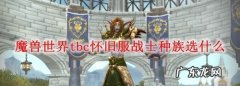 魔兽60年代战士选什么种族,魔兽世界战士选什么天赋