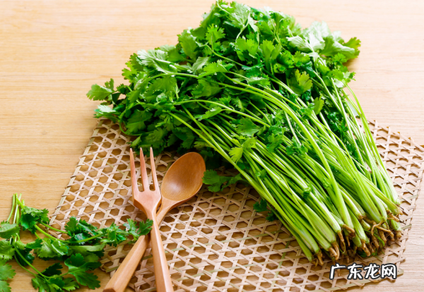 芫荽是香菜,潮汕香菜又叫什么名字