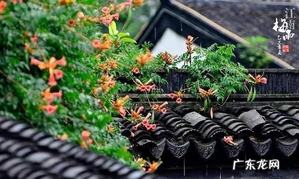 有关思乡和爱国的名言,有关思乡的爱国名人名言有哪些