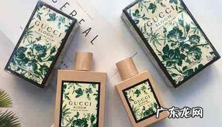 古驰和古奇有什么不同古,古驰和古奇的区别是什么