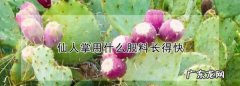 仙人掌施什么肥,仙人球用什么肥料长得快