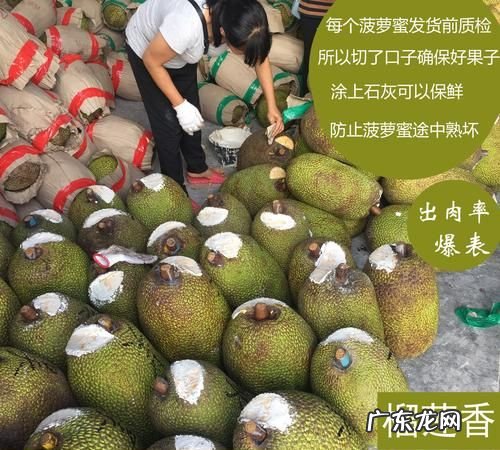 如何挑选红心菠萝蜜,如何挑选菠萝蜜