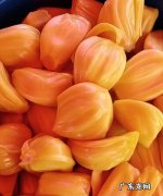 如何挑选红心菠萝蜜,如何挑选菠萝蜜