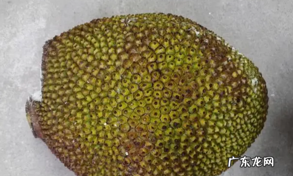 如何挑选红心菠萝蜜,如何挑选菠萝蜜