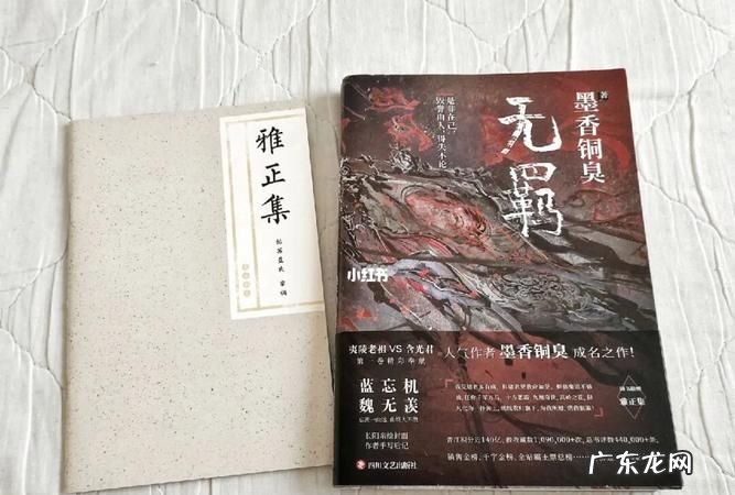 无羁一共几本书,无羁出第二册了