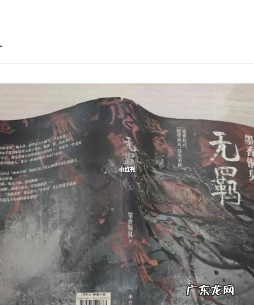 无羁一共几本书,无羁出第二册了