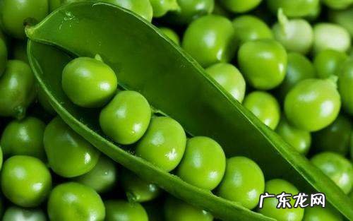 豌豆发芽能吃,豌豆发芽了还可以吃