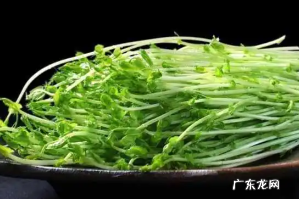 豌豆发芽能吃,豌豆发芽了还可以吃