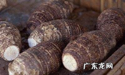血糖高要多吃什么,血糖高吃什么好