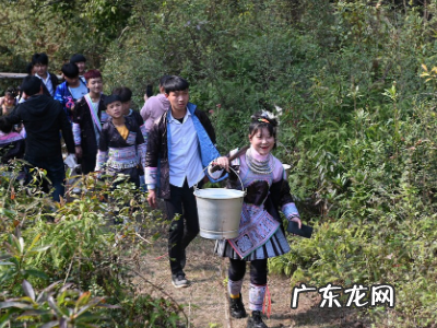 清明习俗,清明节的习俗