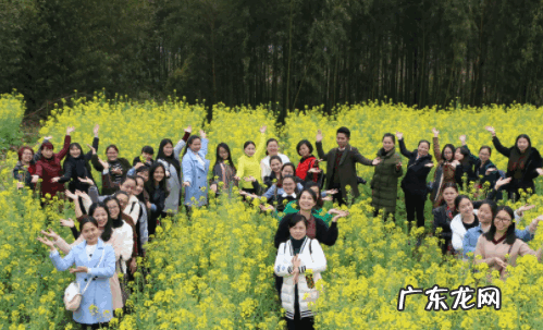 清明习俗,清明节的习俗