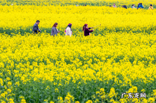 清明习俗,清明节的习俗