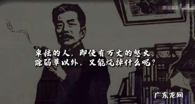 鲁迅的名言故乡,鲁迅故乡中:其实地上本没有路作文
