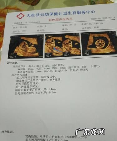 nt值多少为正常,nt值多少为正常