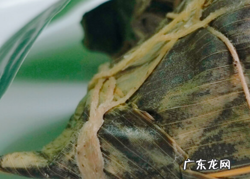煮粽子需要多长时间,煮粽子一般需要多长时间能熟