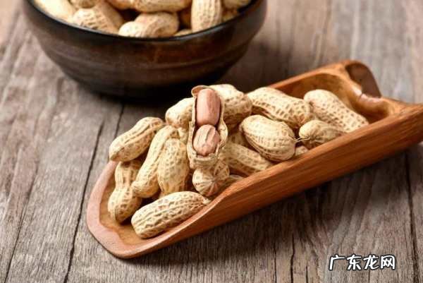 长生果的功效与作用,长生果花生的功效与作用具体有哪些方面