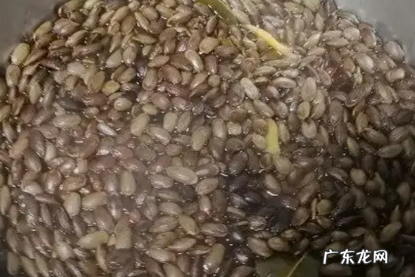 吊瓜怎么炒好吃,吊瓜怎么炒好吃又简单