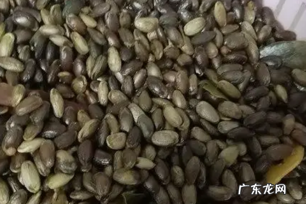 吊瓜怎么炒好吃,吊瓜怎么炒好吃又简单