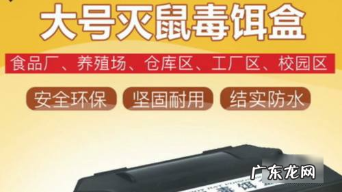 怎么消灭老鼠,家里有老鼠怎么能彻底消灭