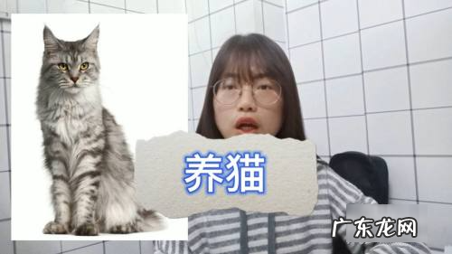 怎么消灭老鼠,家里有老鼠怎么能彻底消灭