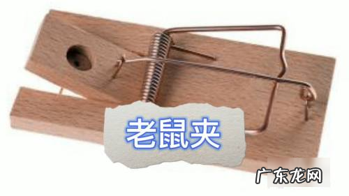 怎么消灭老鼠,家里有老鼠怎么能彻底消灭