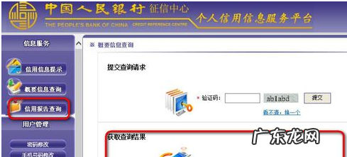 个人信用记录:在网上如何查询,个人征信网上怎么查询打印