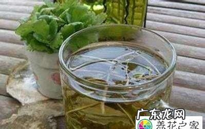 柳枝水泡多久 才能浇花,柳树枝泡水要泡多久才能用来生根